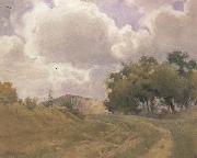 unknow artist, California landscape